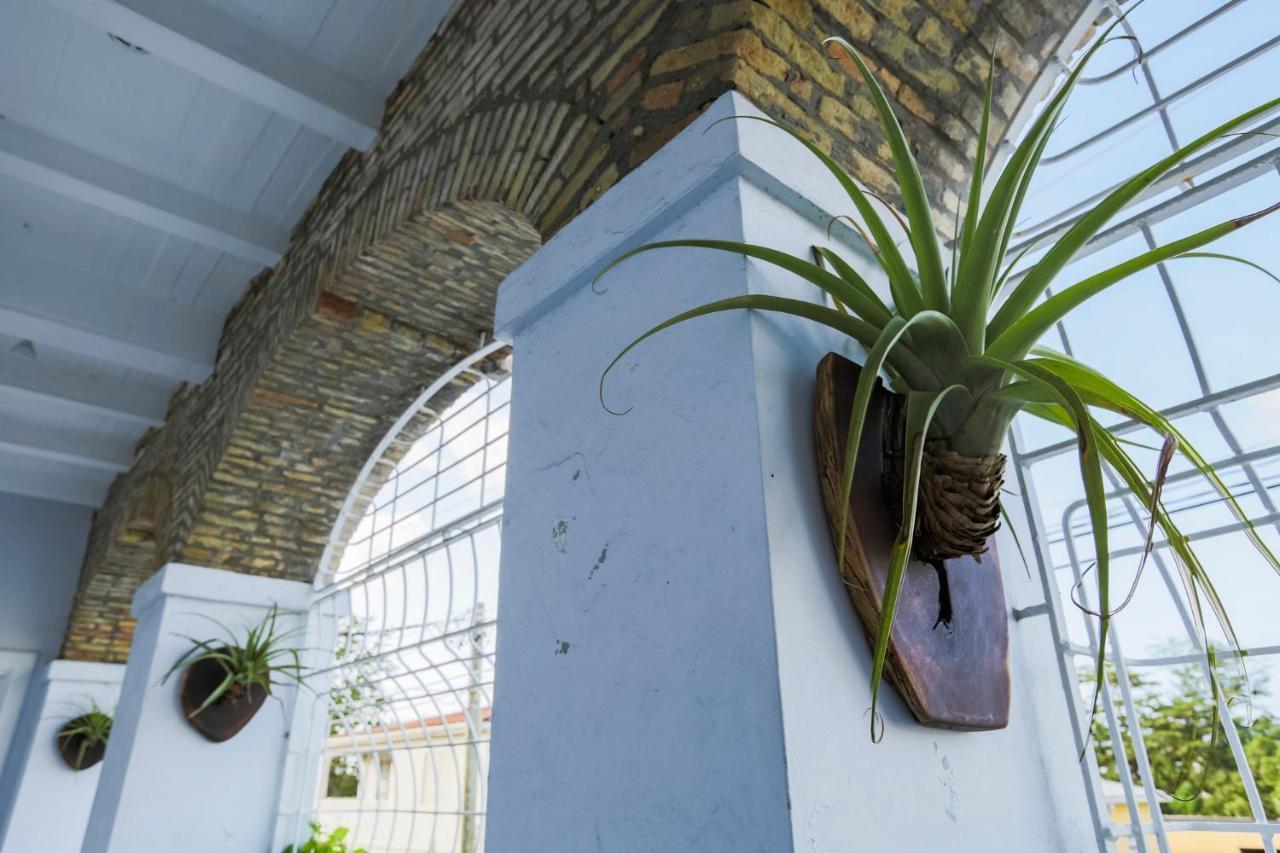 Sugar Apple Bed And Breakfast Christiansted Exterior photo